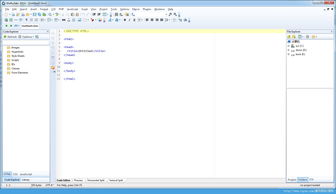 Webuilder Portable 便攜高效的網(wǎng)頁(yè)代碼編輯器